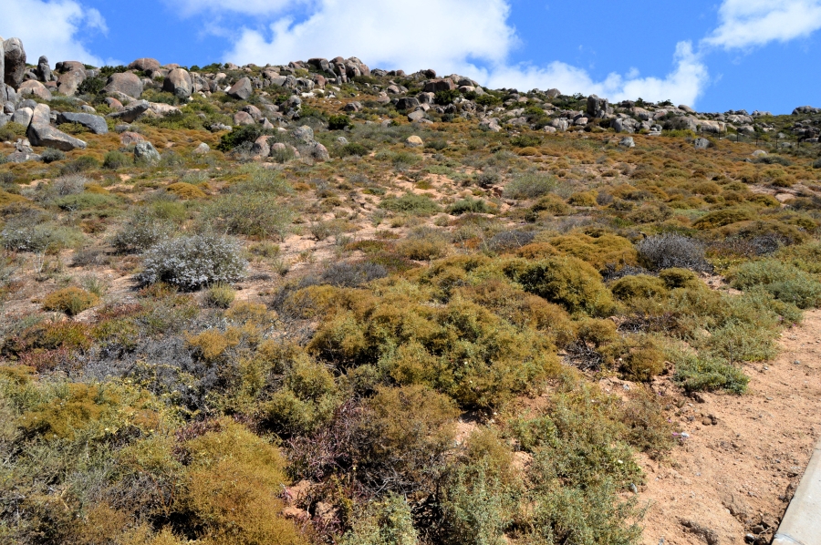 0 Bedroom Property for Sale in St Helena Views Western Cape